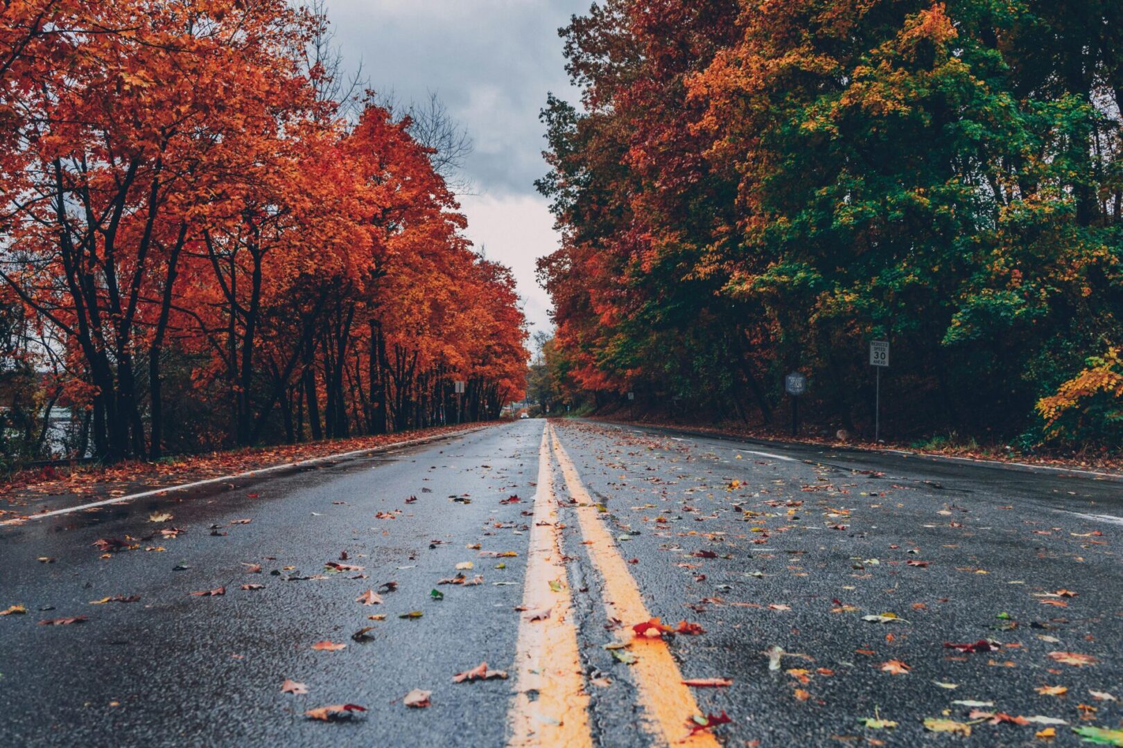 A road with leaves on the side of it